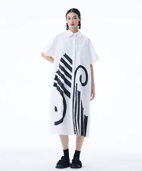 Graphic Flare Shirt Dress